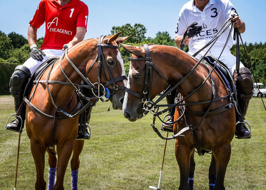 Polo Hamptons